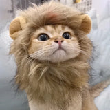 Lion Mane Cat Costume Wig - Adjustable, Soft & Festive for Halloween, Christmas & Parties