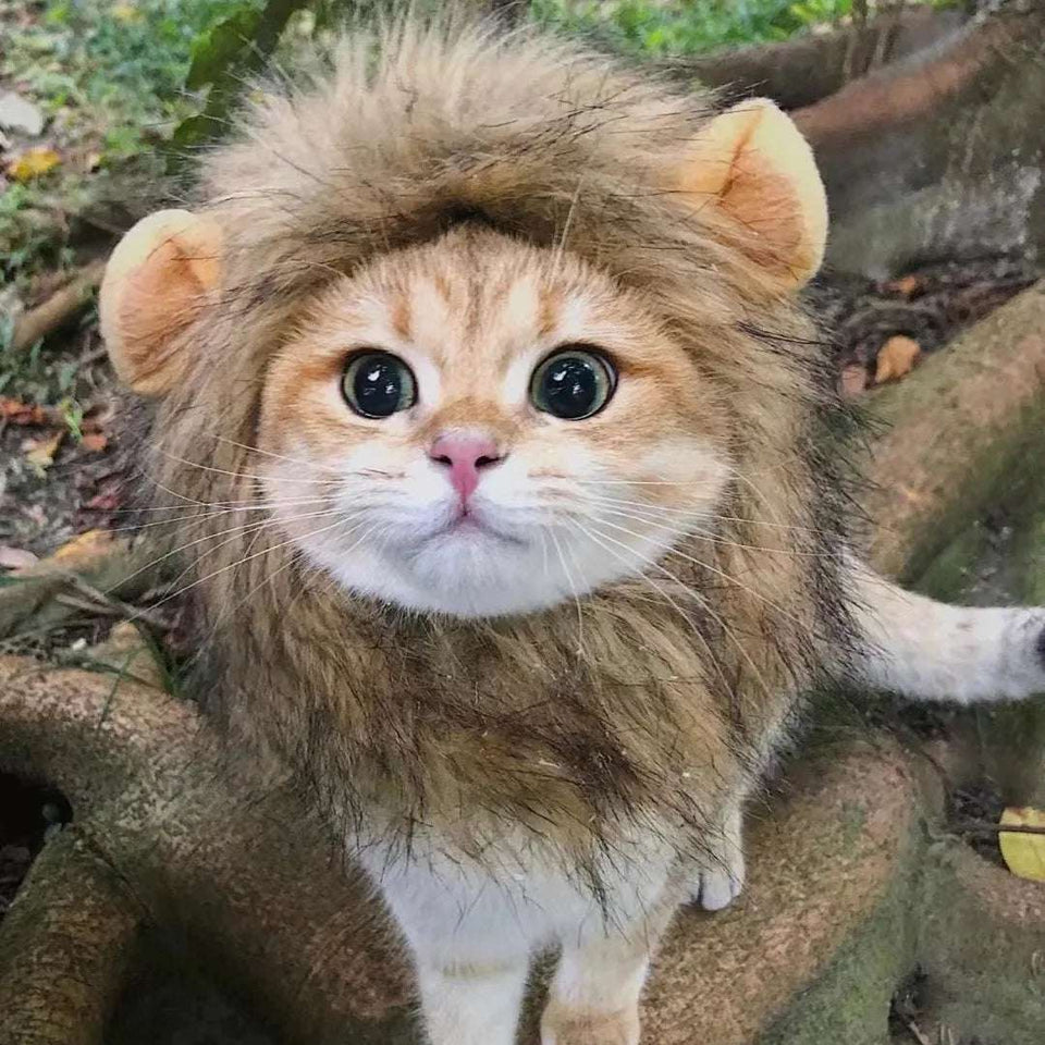 Lion Mane Cat Costume Wig