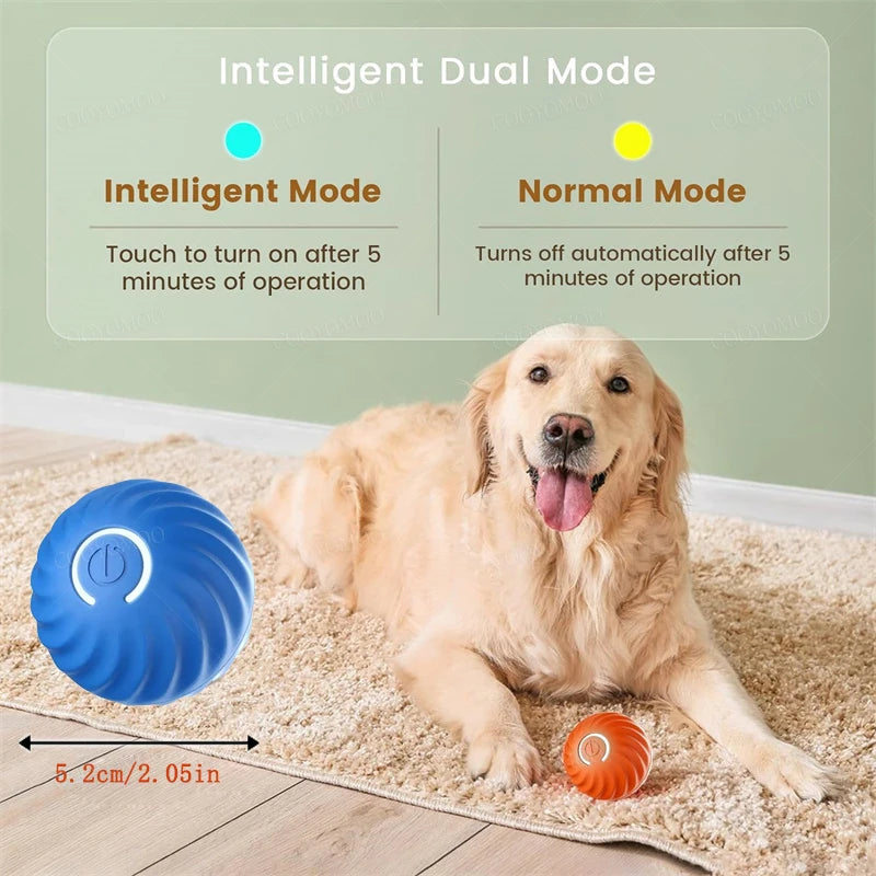 Interactive Rechargeable Ball Toy for Pets