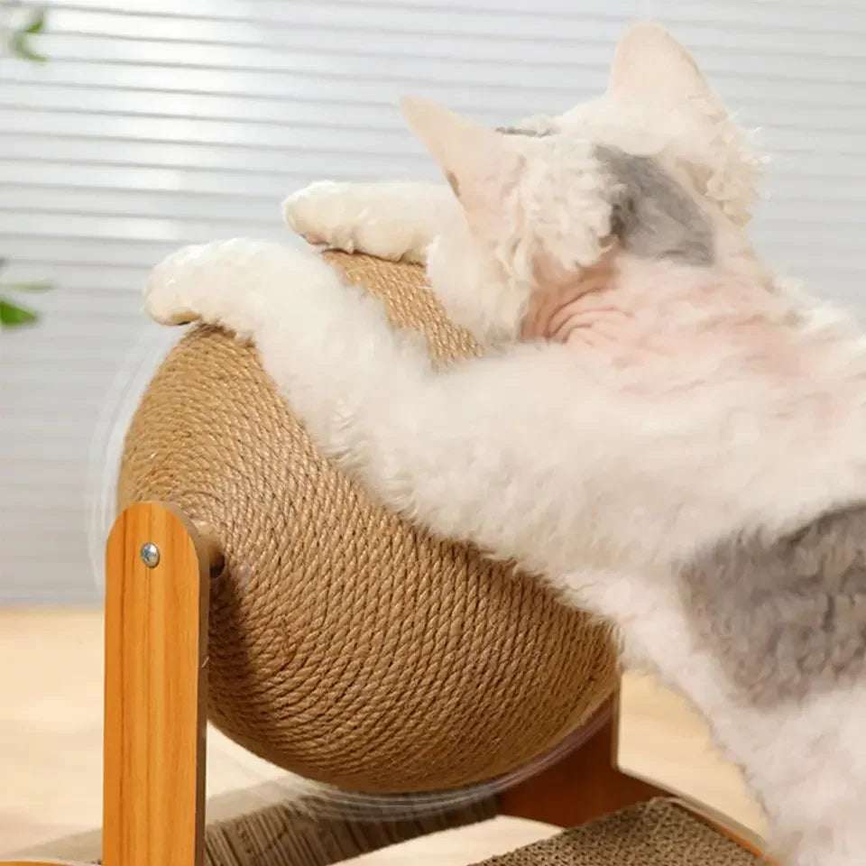 Cat Scratching Board