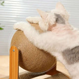 Cat Scratching Board