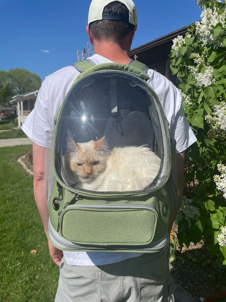 Breathable Cat Backpack Carrier - Foldable, Airline-Approved & Transparent Pet Travel Bag