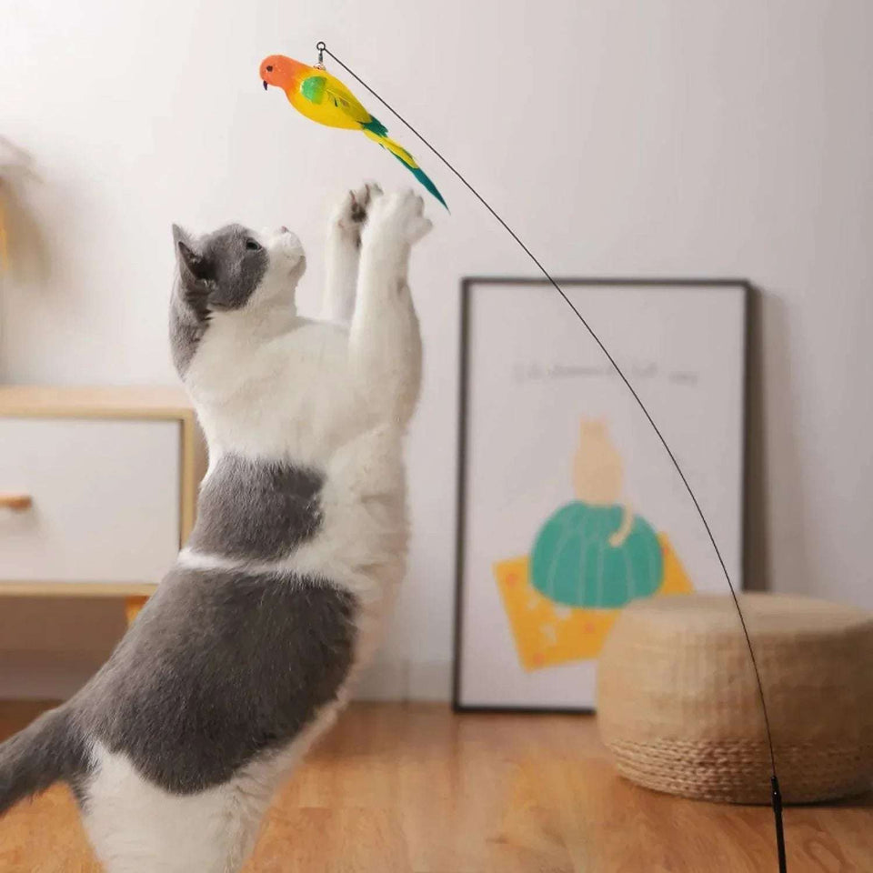 Interactive Feather Teaser with Auto