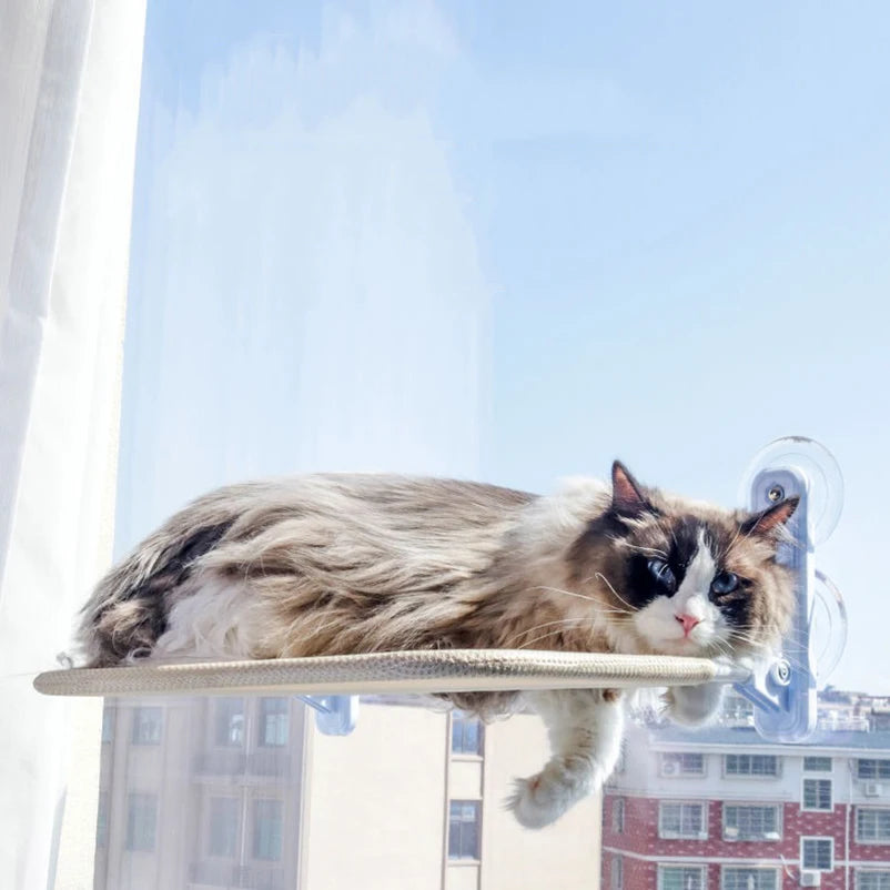 Reversible Cat Window Perch