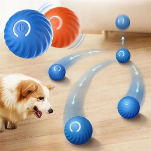 Interactive Rechargeable Ball Toy for Pets