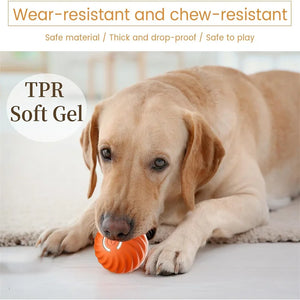 Interactive Rechargeable Ball Toy for Pets