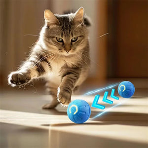 Interactive Rechargeable Ball Toy for Pets