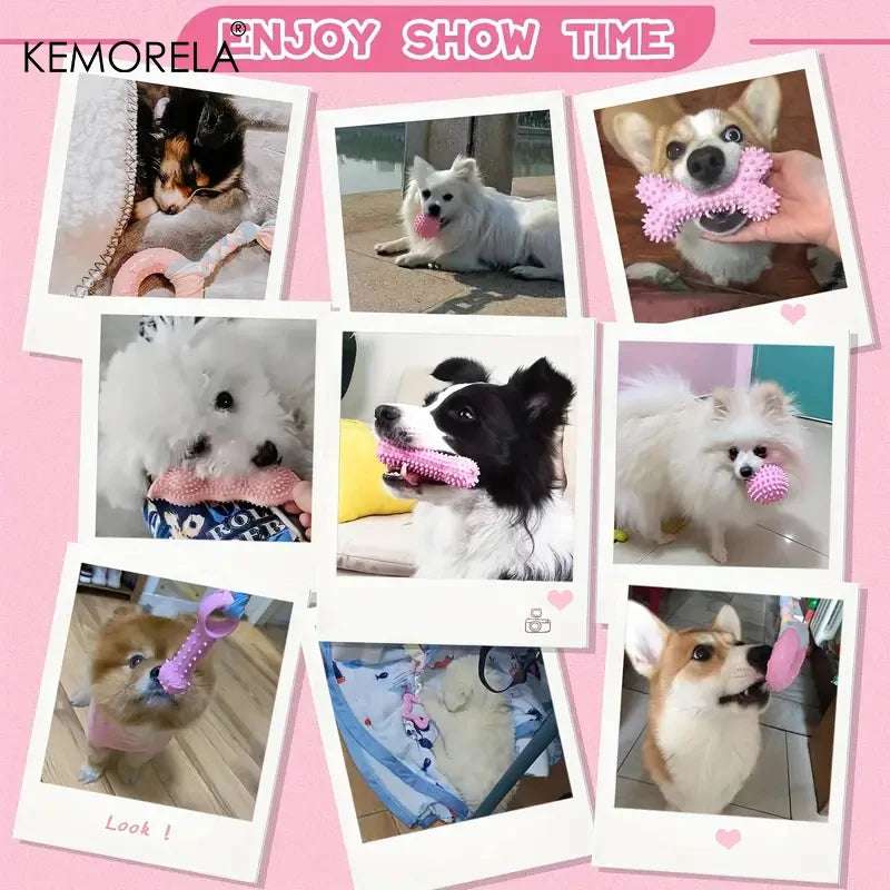 Interactive Dental Chew Toy Set for Dogs