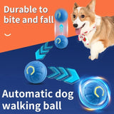 Interactive Rechargeable Ball Toy for Pets