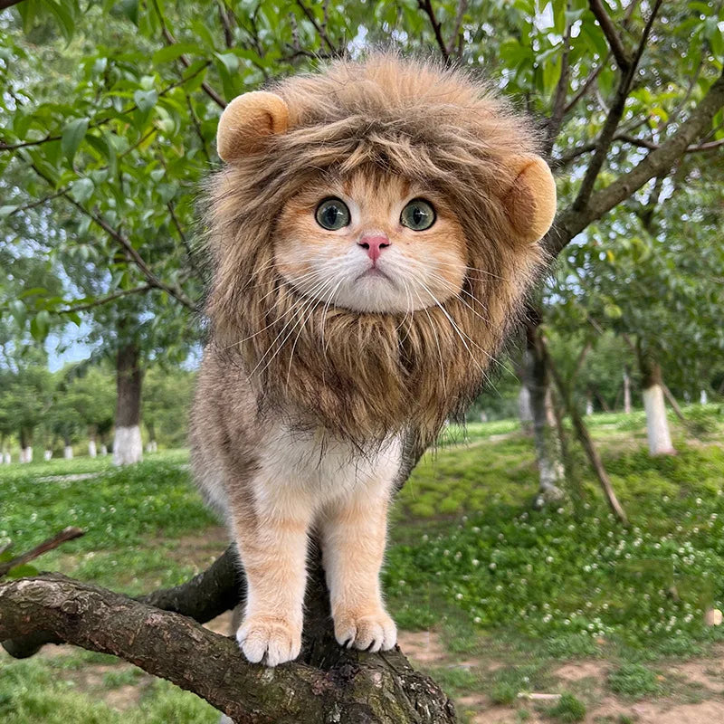 Lion Mane Cat Costume Wig - Adjustable, Soft & Festive for Halloween, Christmas & Parties