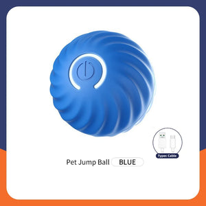 Interactive Rechargeable Ball Toy for Pets